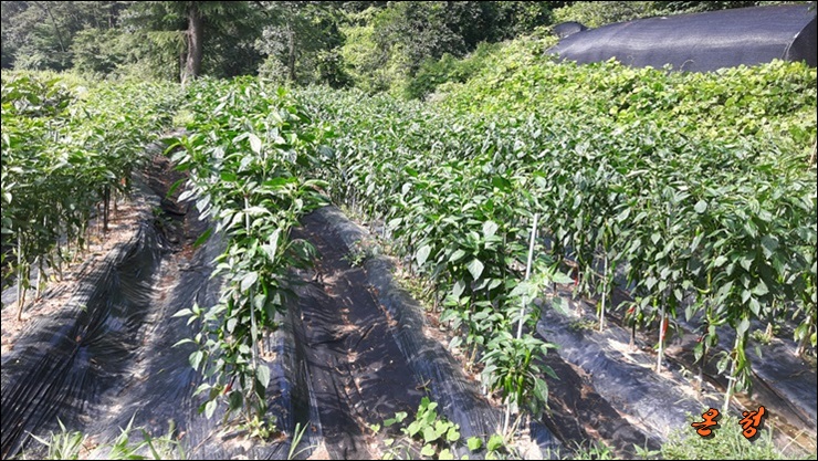 온정노인요양원 이미지 15