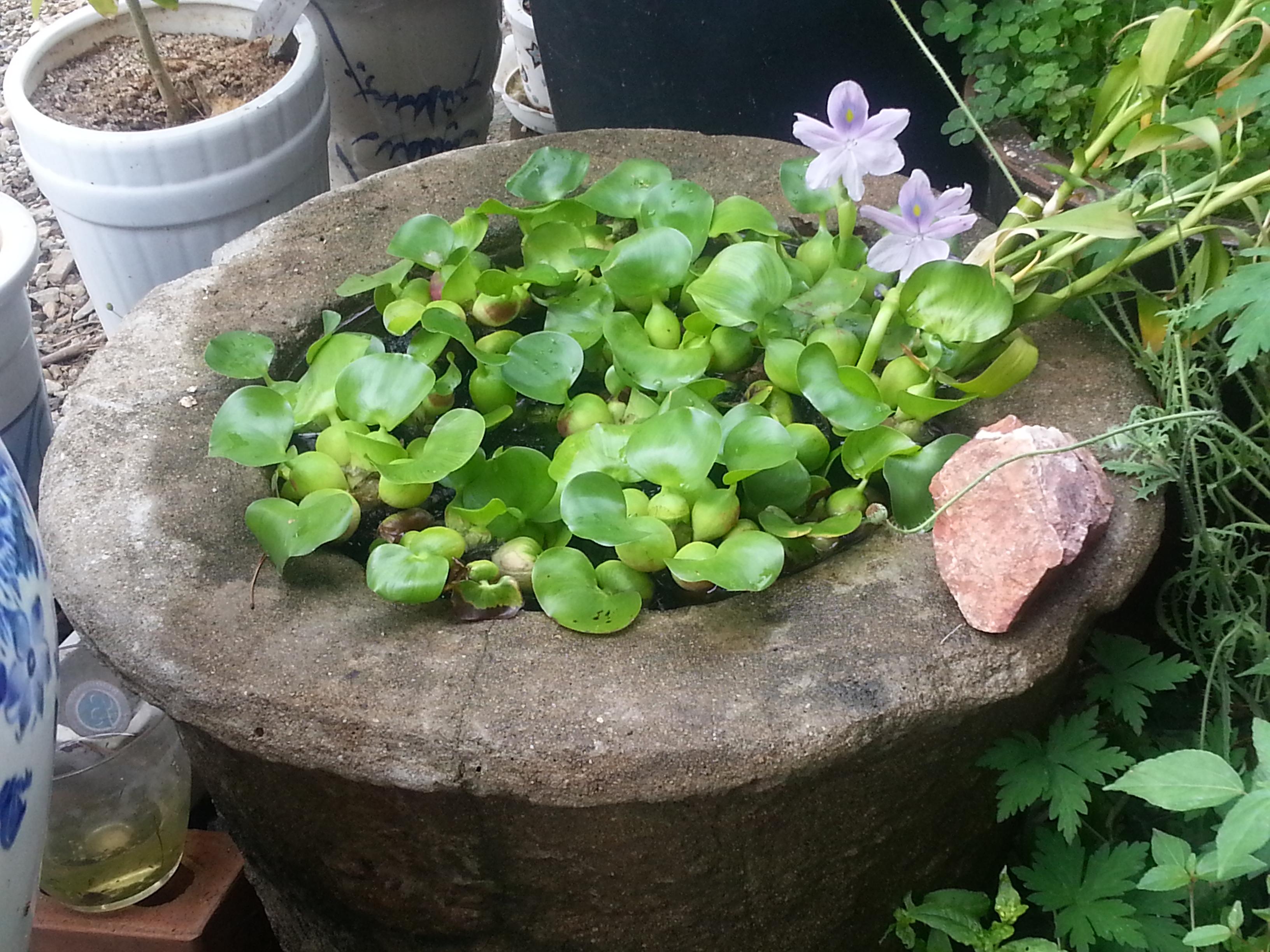 월롱패밀리 요양원 이미지 22