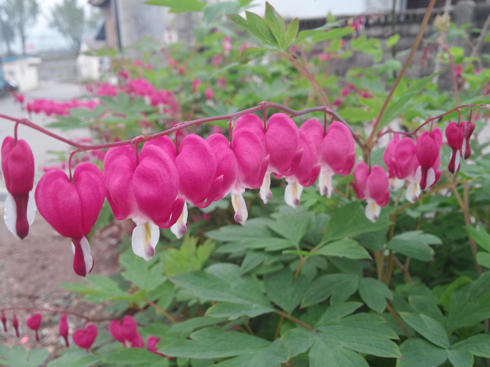 월롱패밀리 요양원 이미지 21