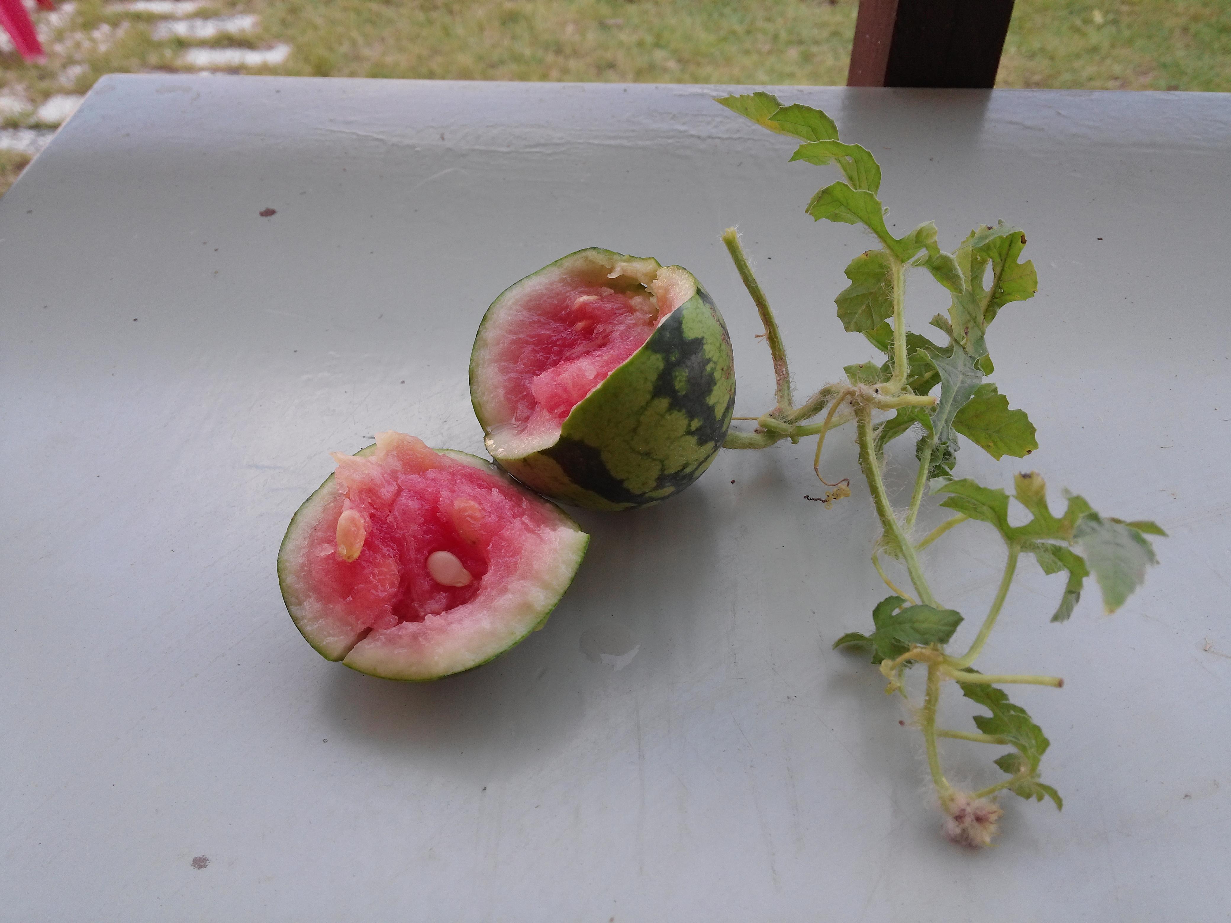 월롱패밀리 요양원 이미지 20