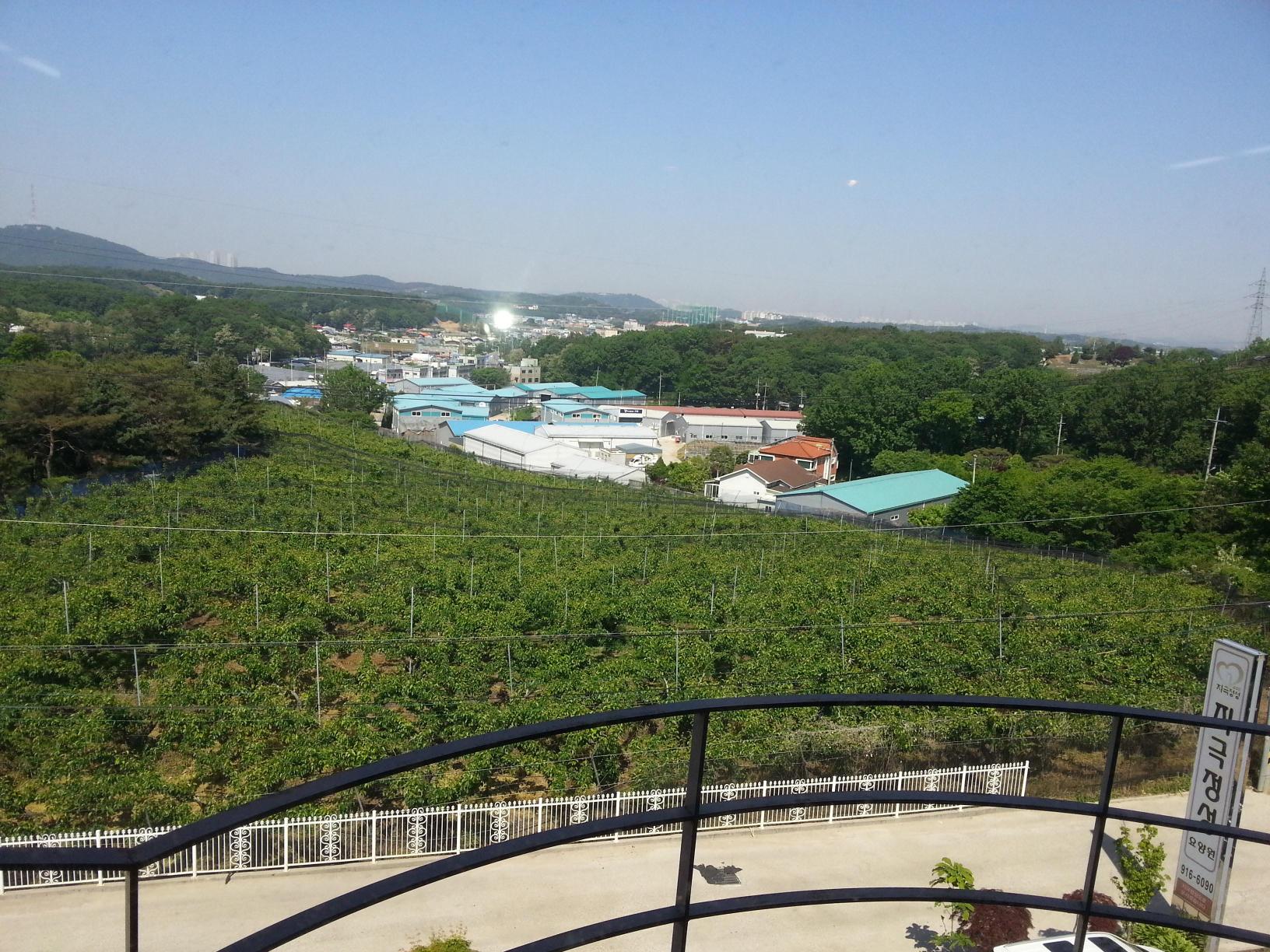 지극정성요양원 이미지 29