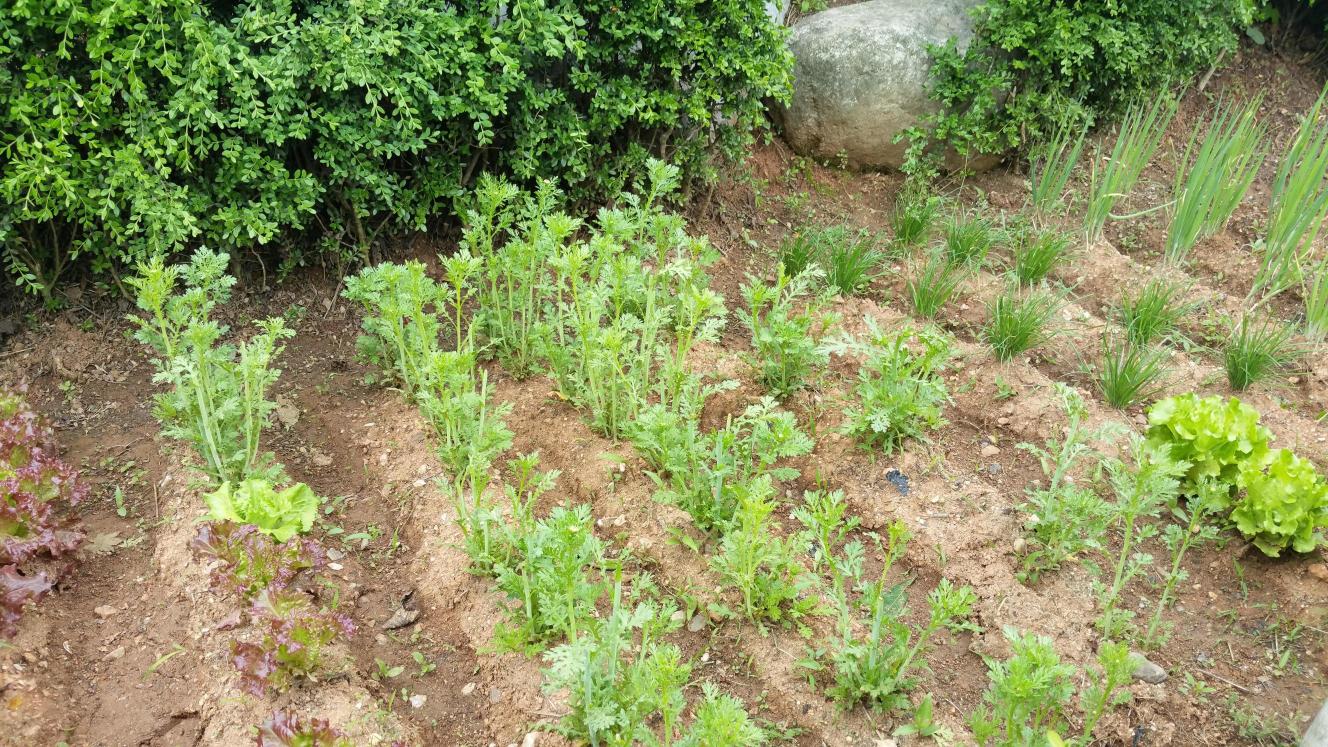 백세케어요양원 이미지 12