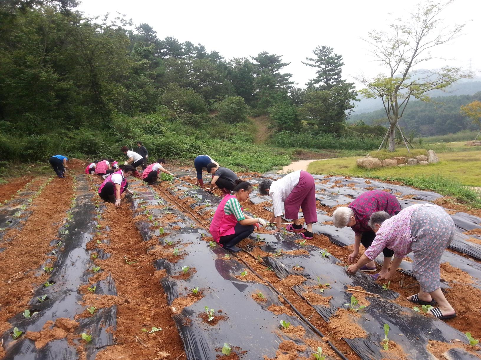 장흥노인전문요양원 이미지 7