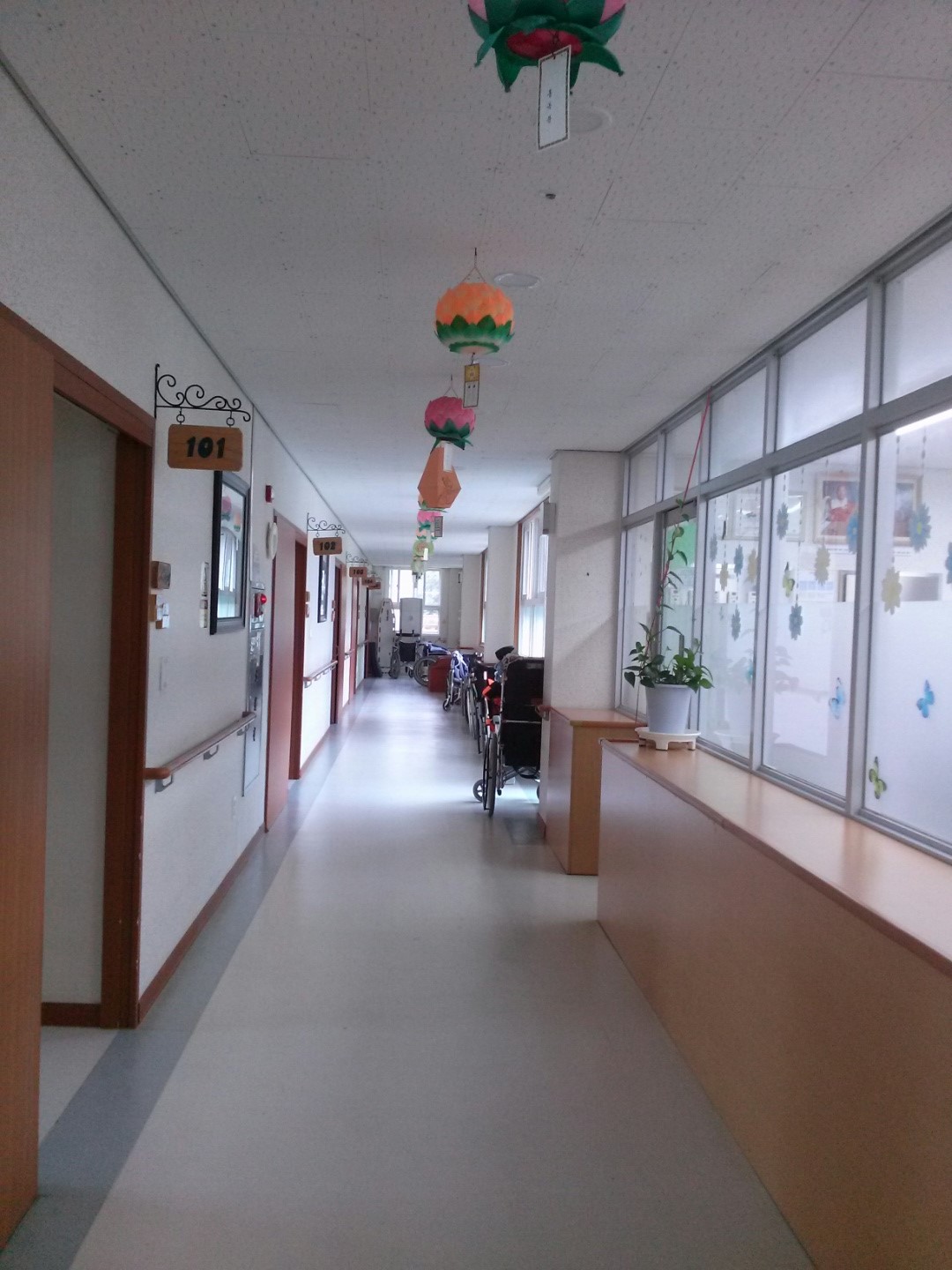 동화사 자비원 이미지 7