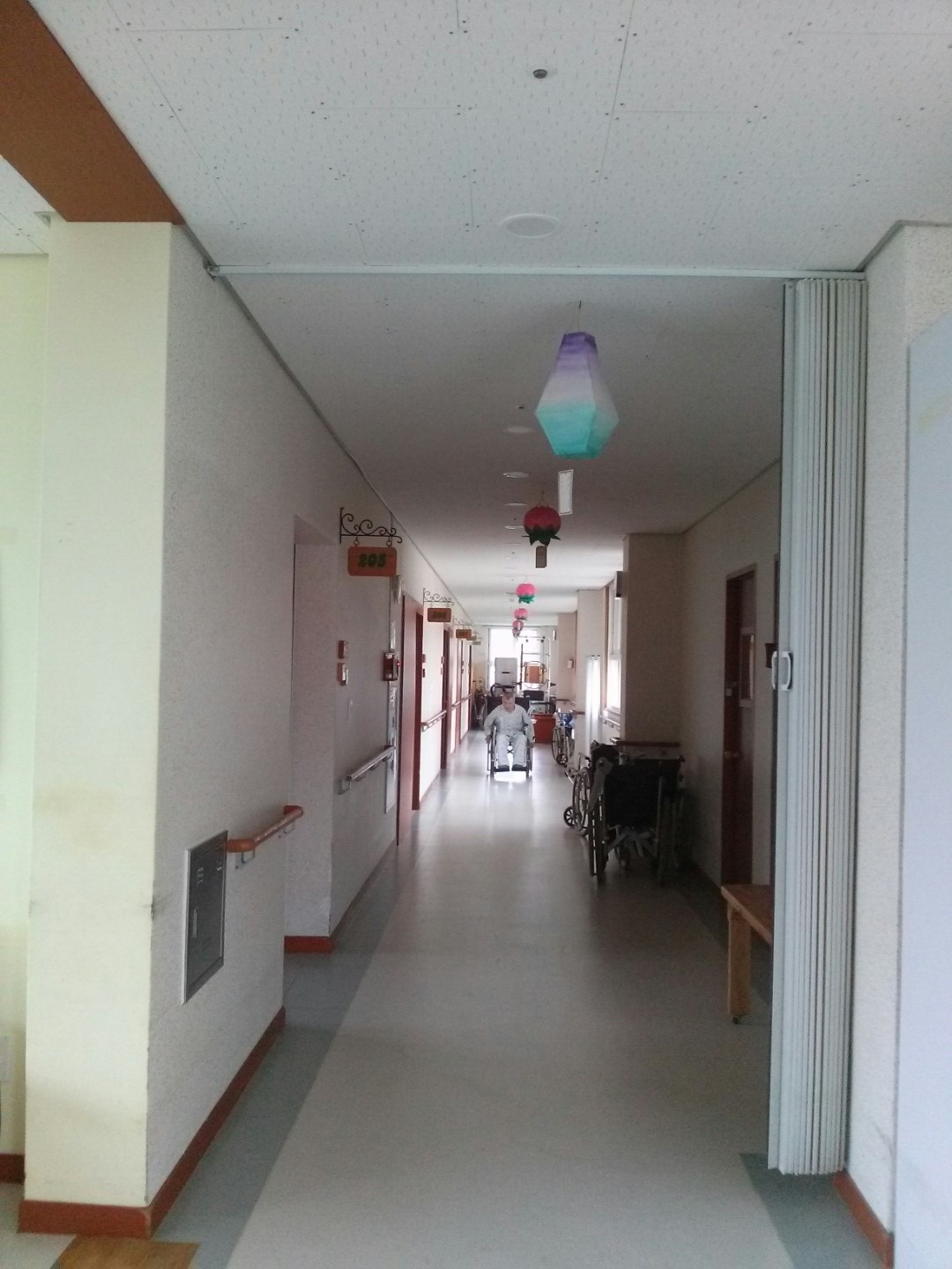 동화사 자비원 이미지 6