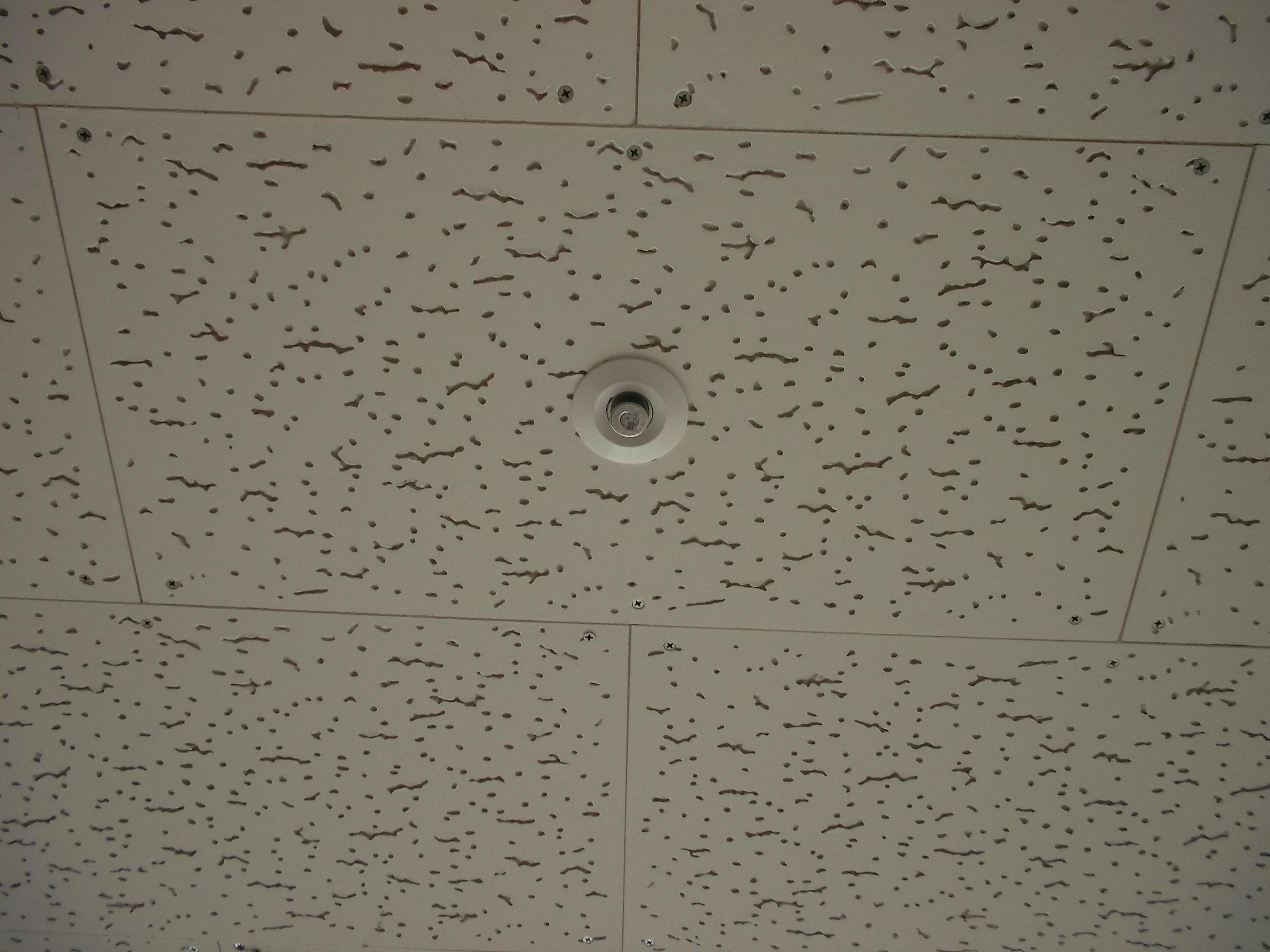 노인요양시설 강동노인복지타운 이미지 14