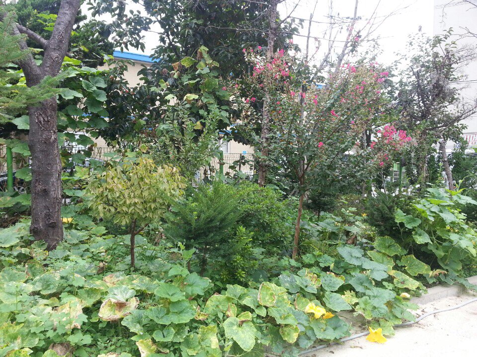 온양요양원 이미지 12