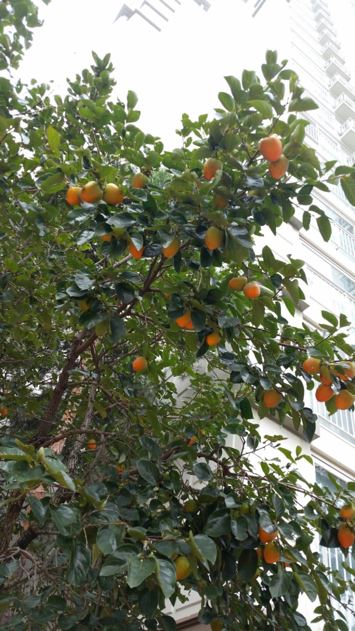 나이팅게일공동생활가정 이미지 2