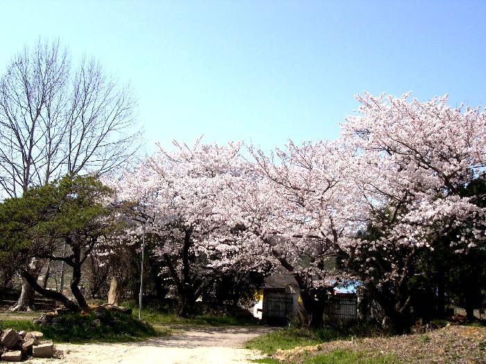 믿음의집 이미지 9