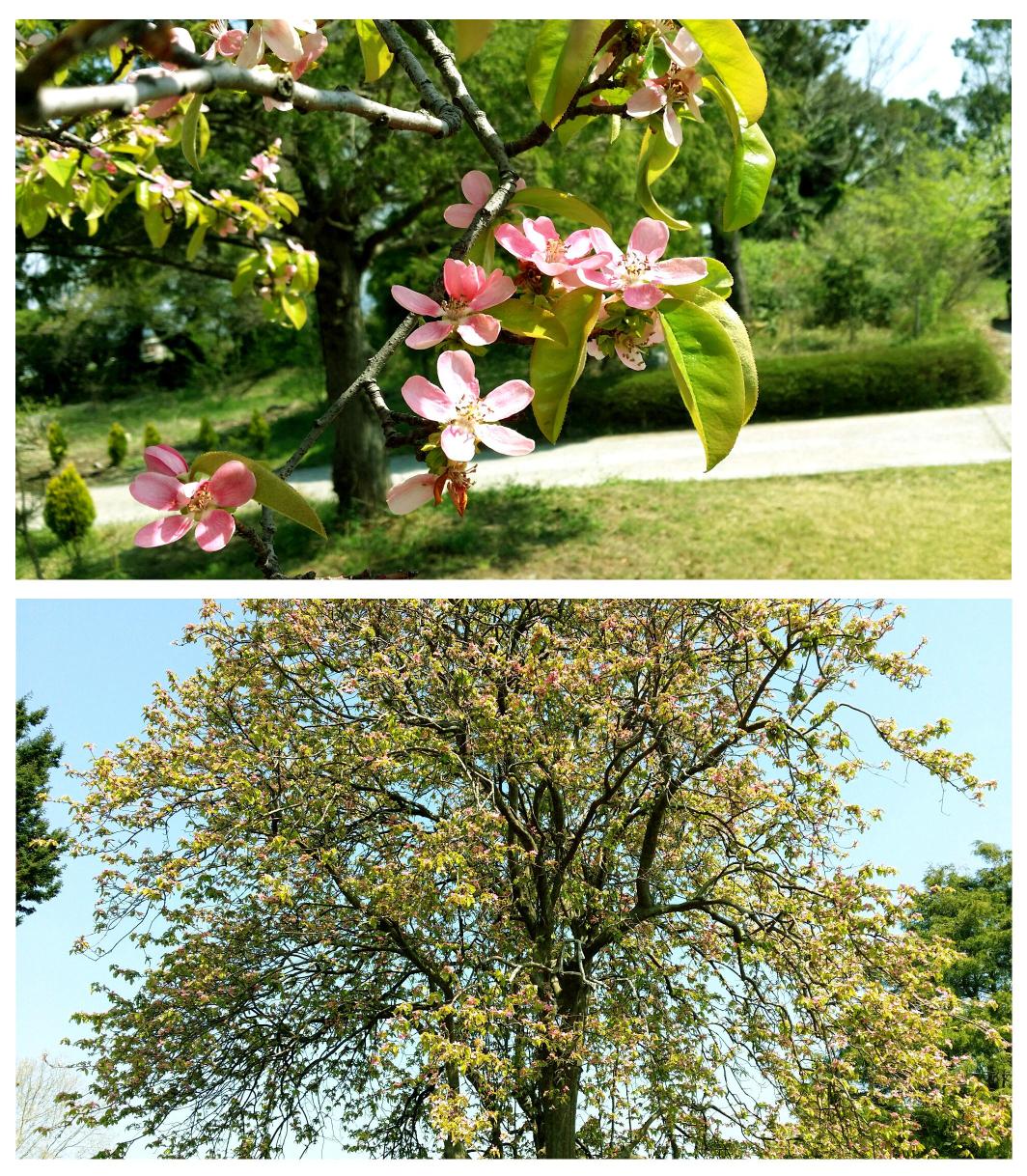 믿음의집 이미지 8