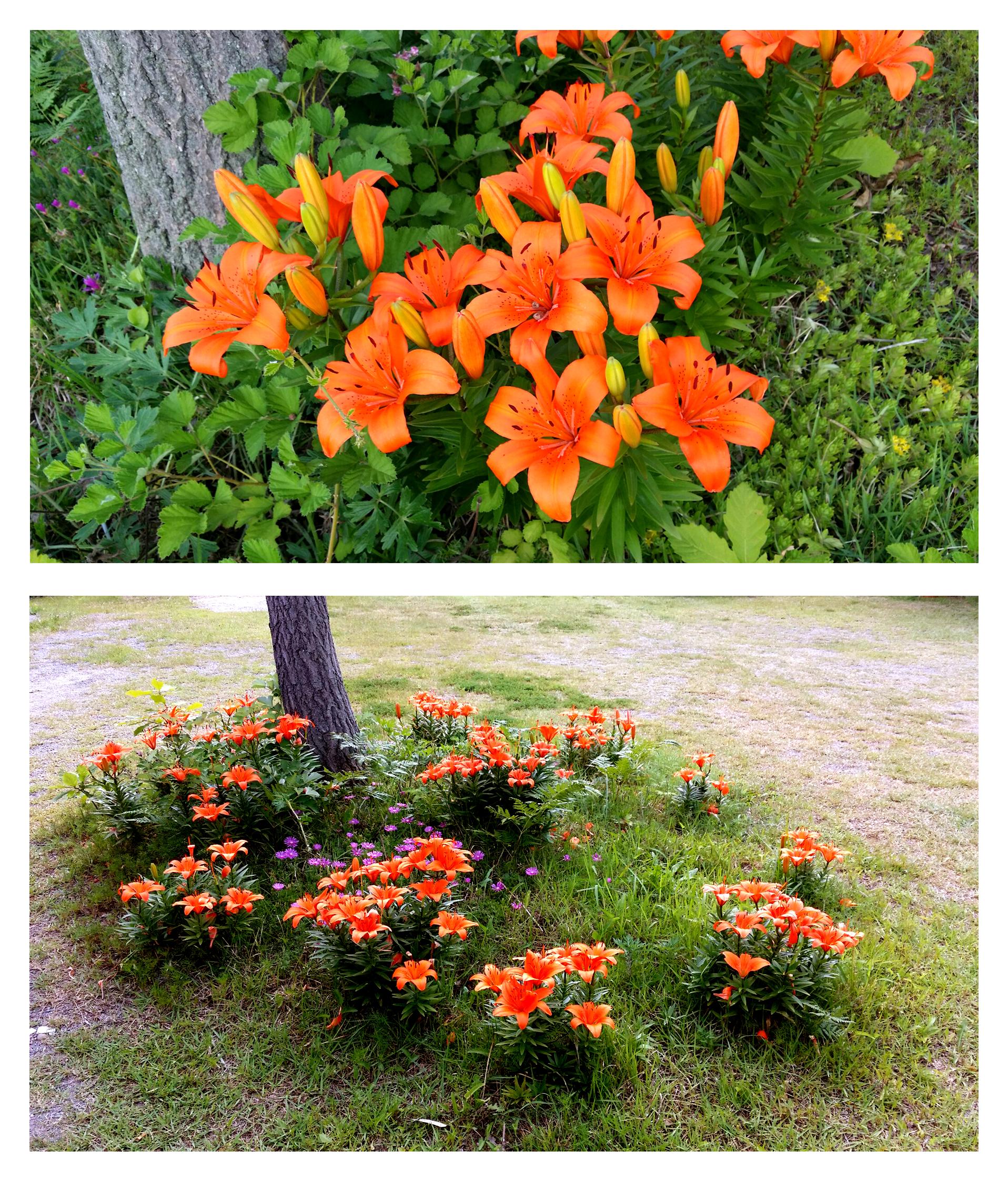 믿음의집 이미지 7