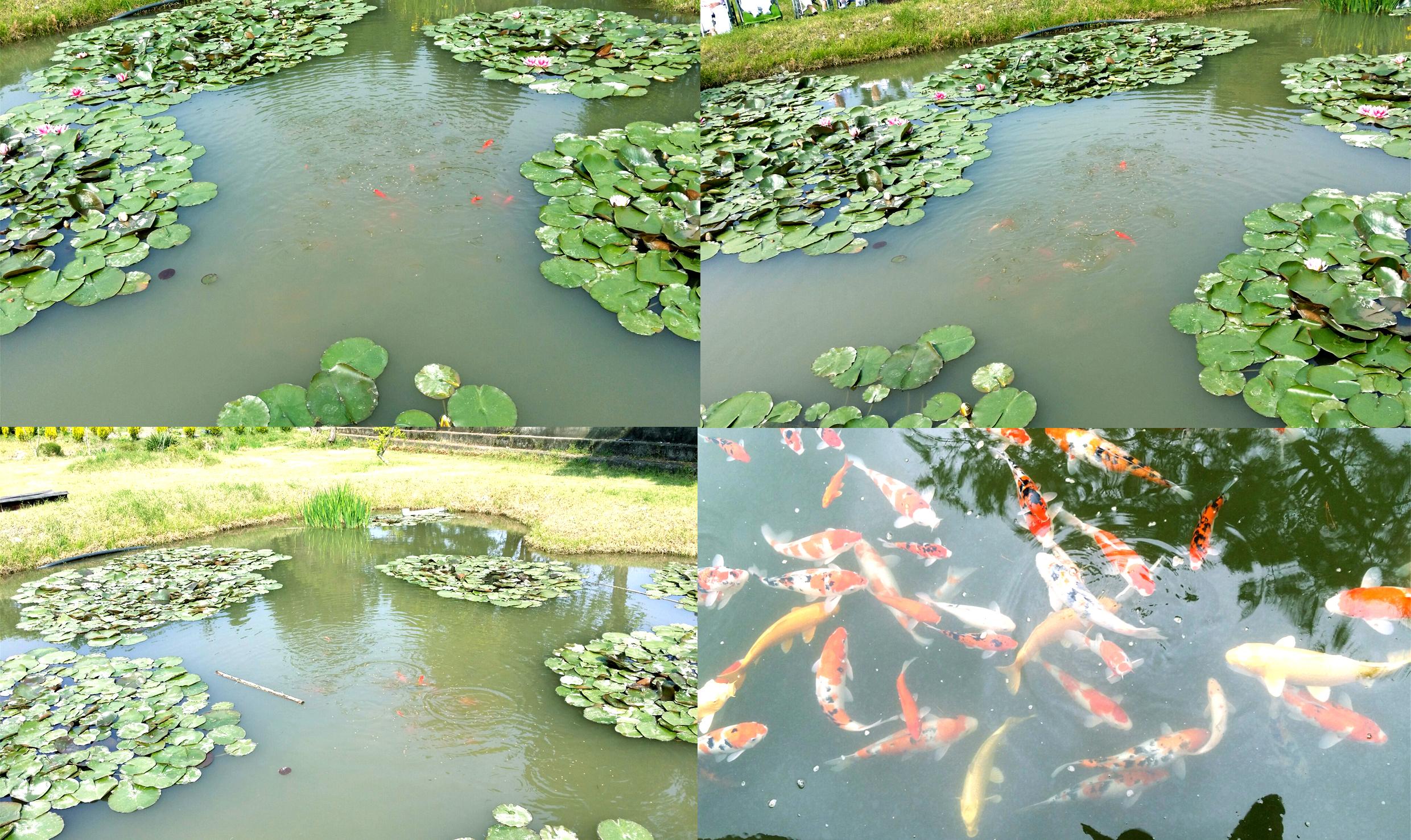 믿음의집 이미지 6