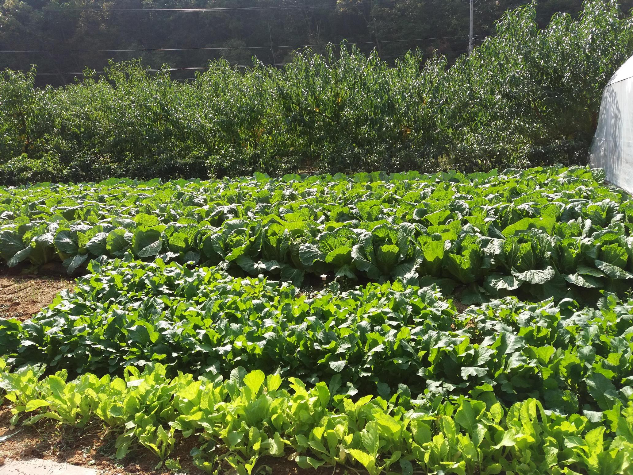 늘편한노인전문요양원 이미지 2