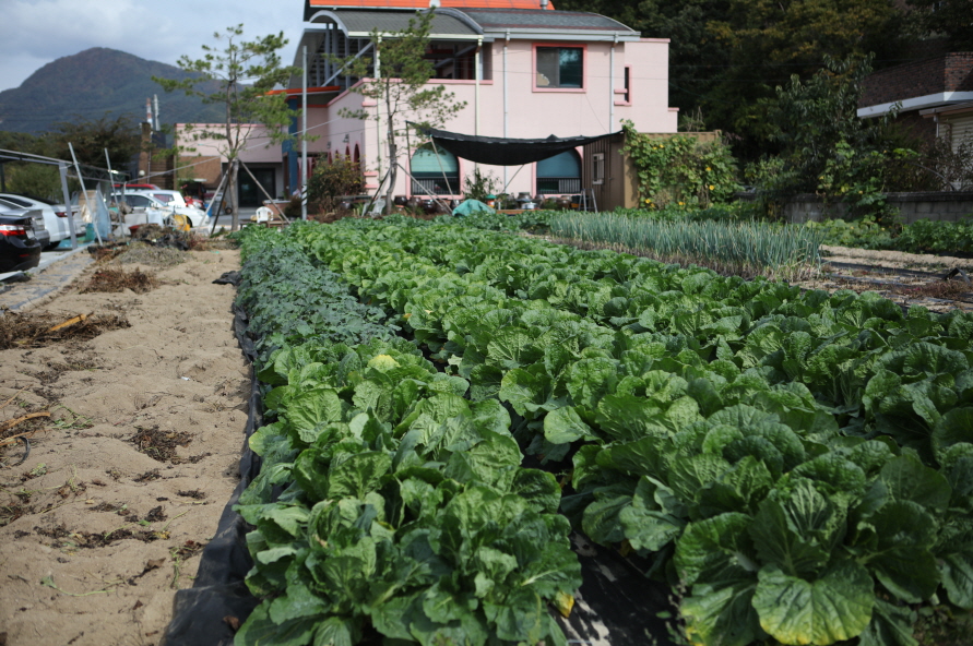 천사실버홈 이미지 15