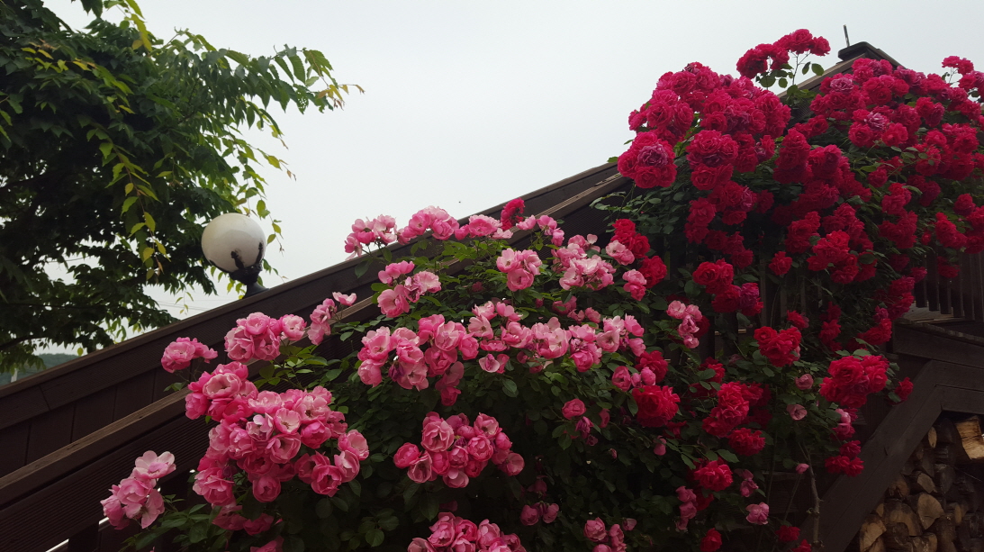 천사실버홈 이미지 26