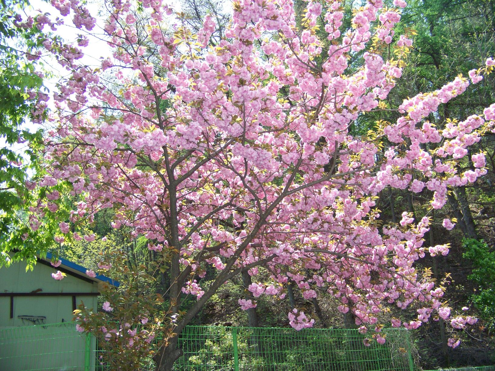 효성실버요양원 이미지 14