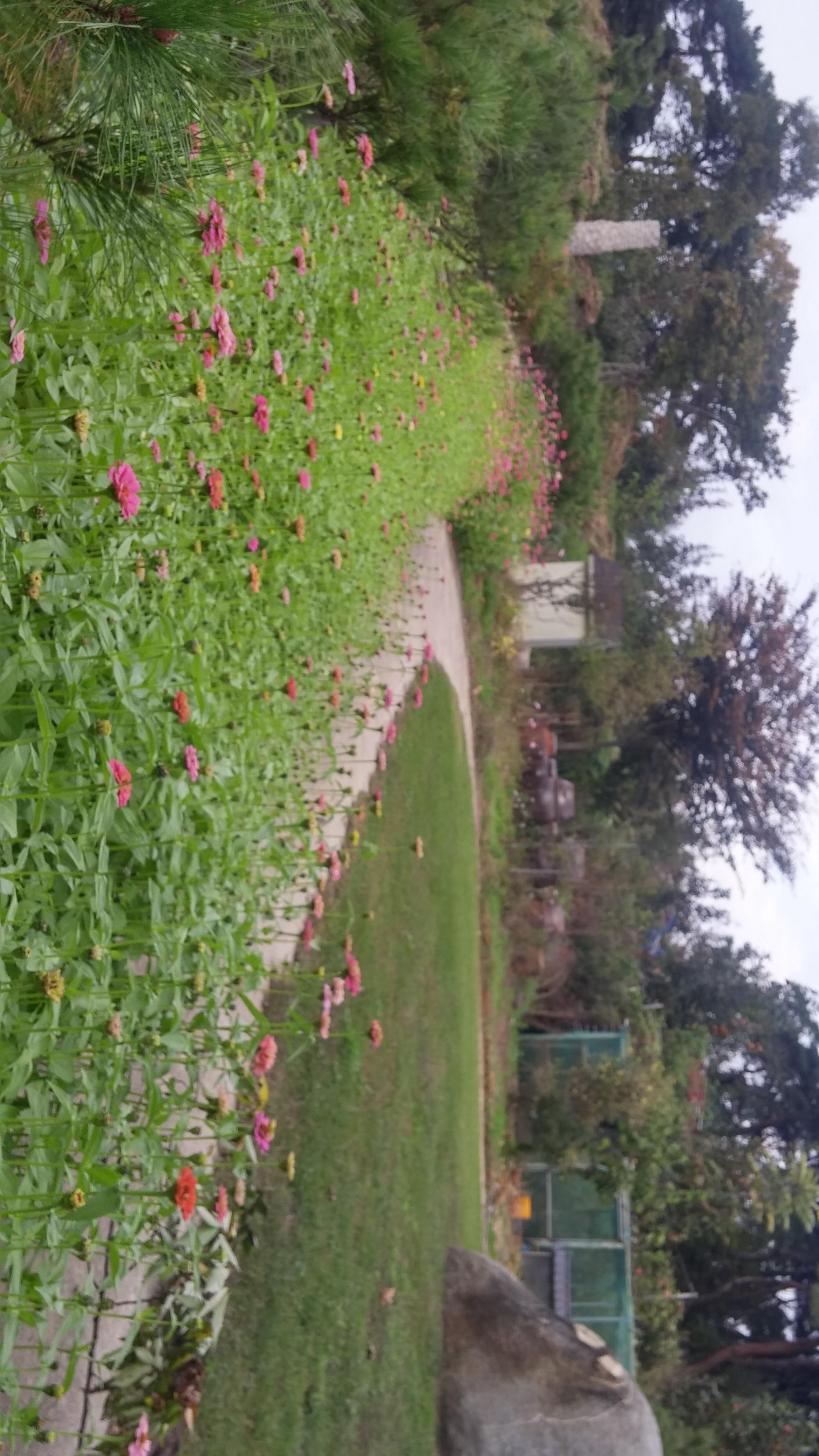 매호요양원 이미지 5