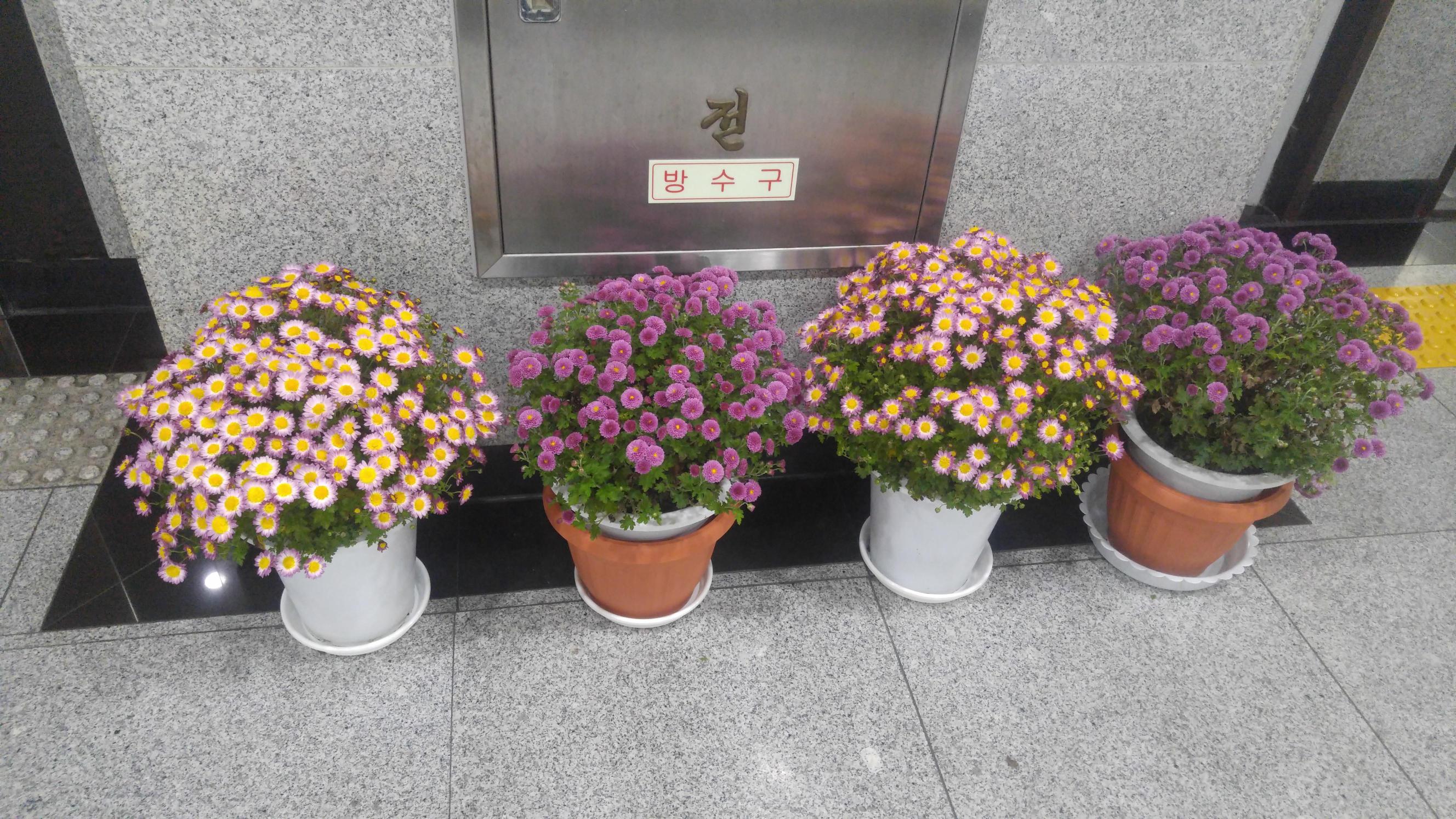 성당효요양원 이미지 26