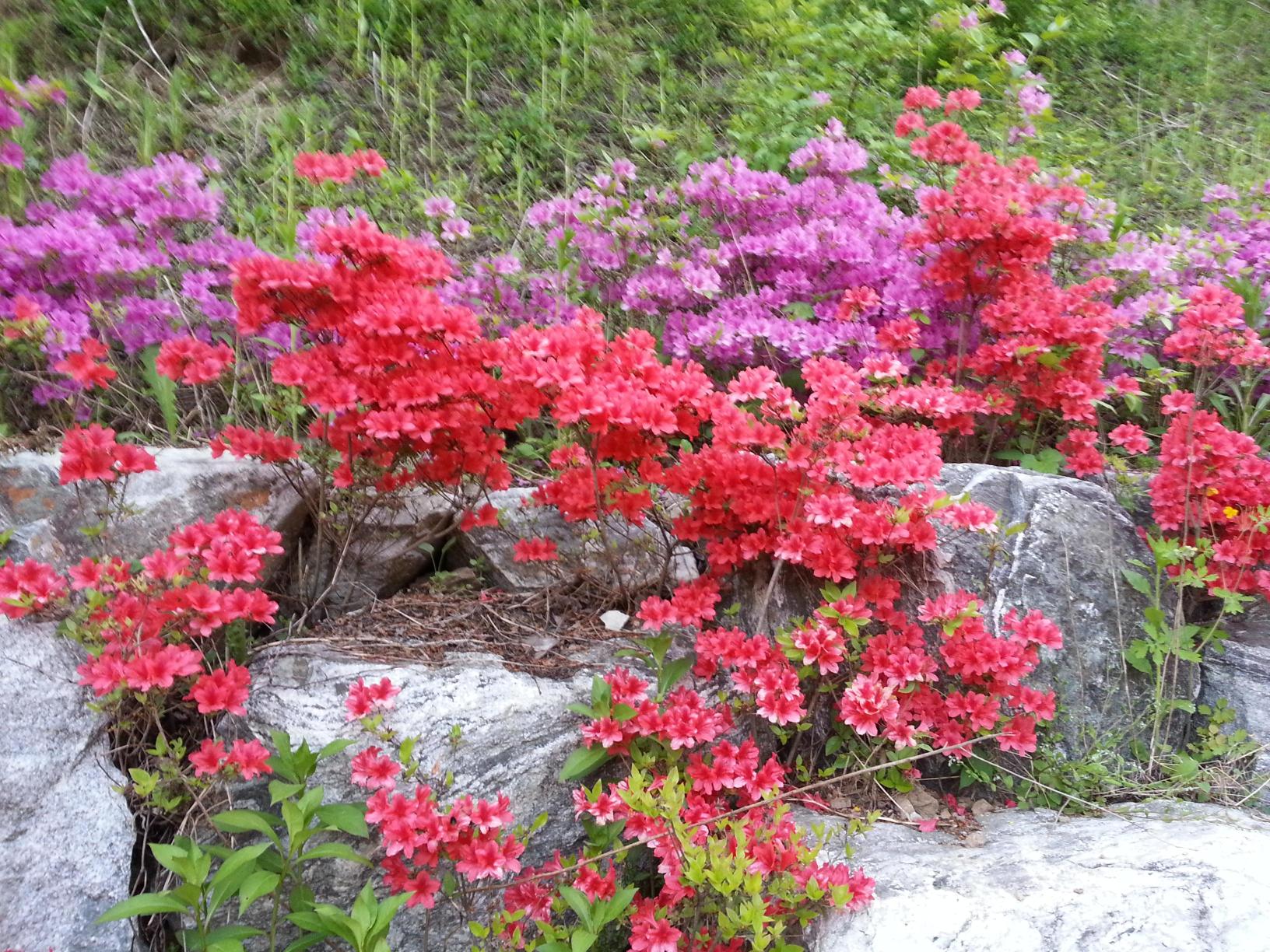 햇살가득한노인요양원 이미지 2