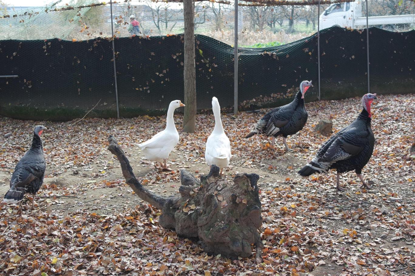 동방실버타운요양원 이미지 6