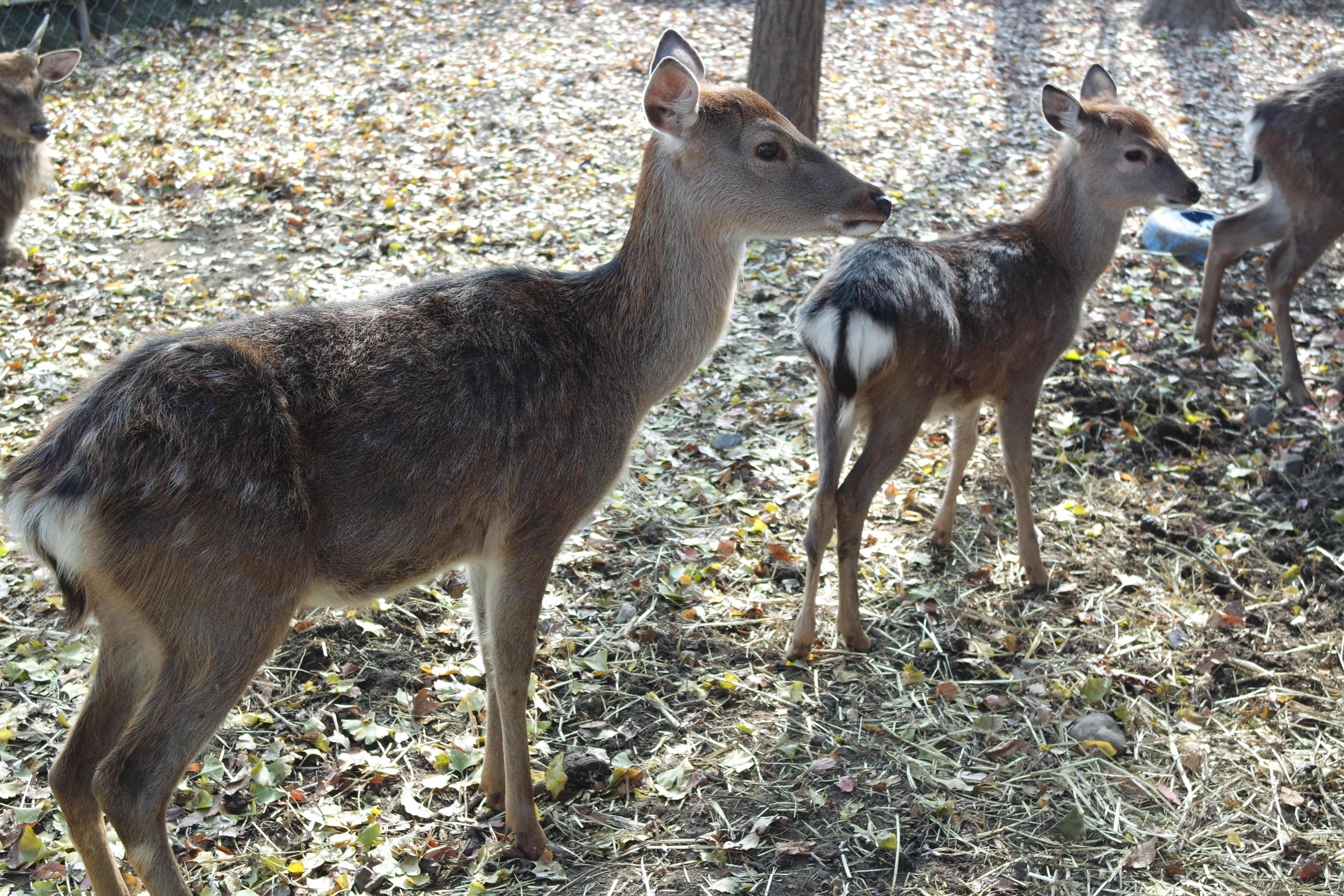 동방실버타운요양원 이미지 5