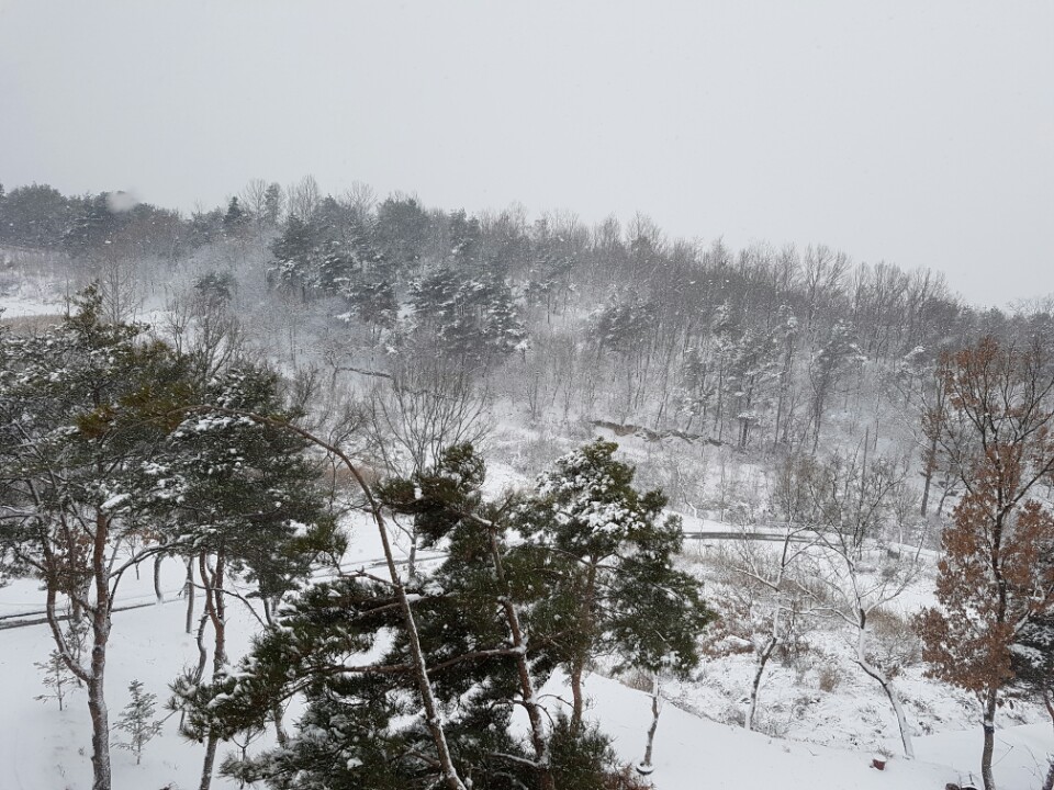 아산설화요양원 이미지 25