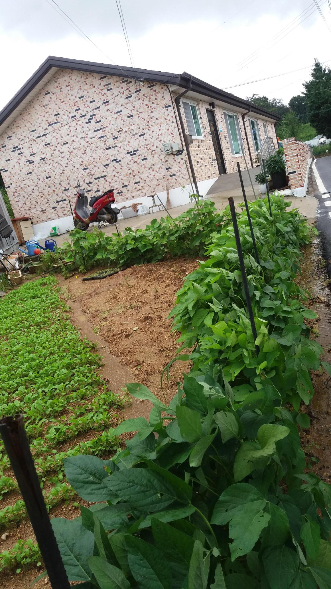 행복이 가득한집 이미지 3