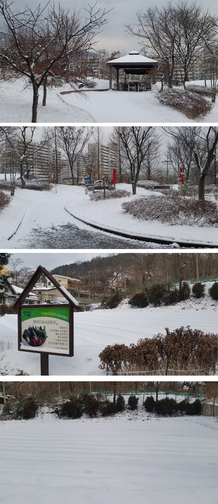 플래티늄 이미지 31