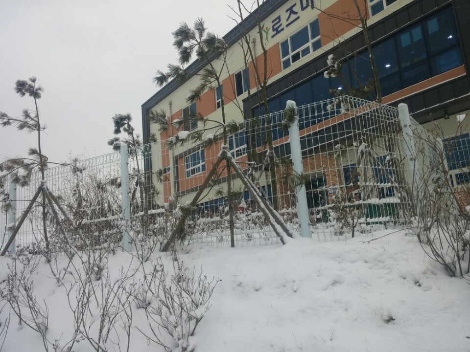 로즈마리너싱홈 이미지 4