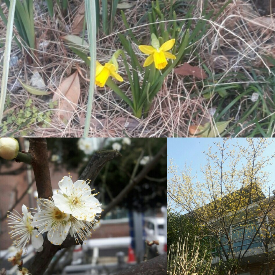 아가페실버센터