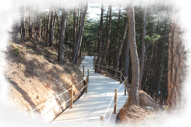 오렌지카운티노인요양원 이미지 2