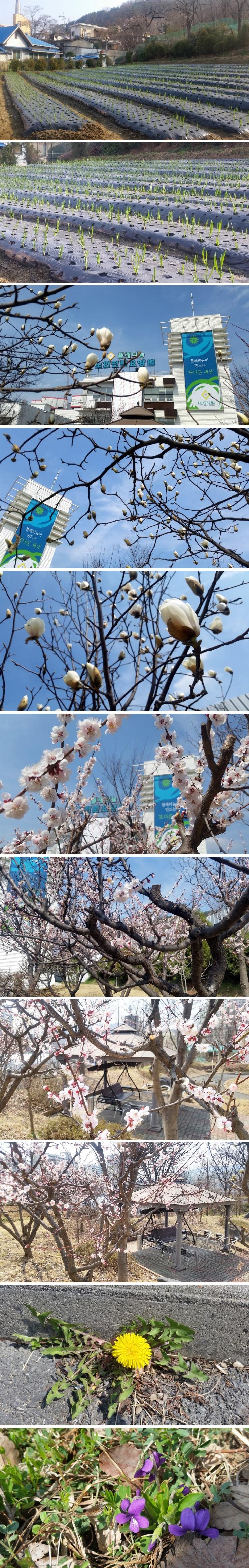 플래티늄 이미지 28