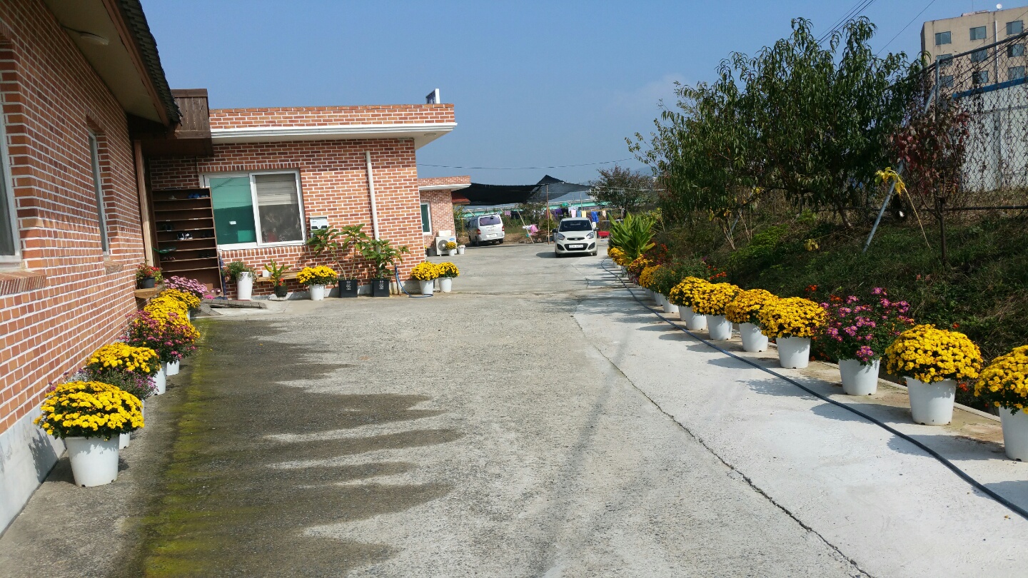 새생명요양원 이미지 5