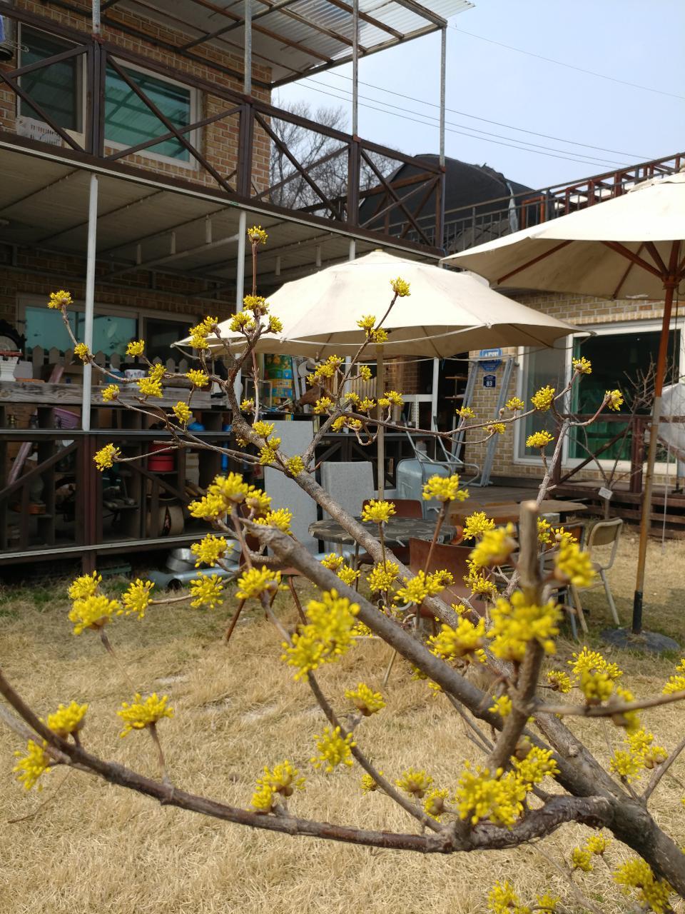 월롱패밀리 요양원 이미지 19