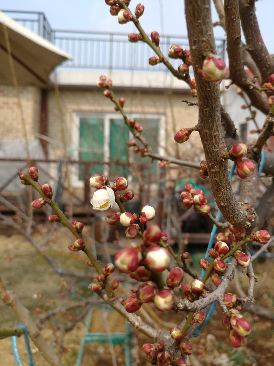 월롱패밀리 요양원 이미지 18