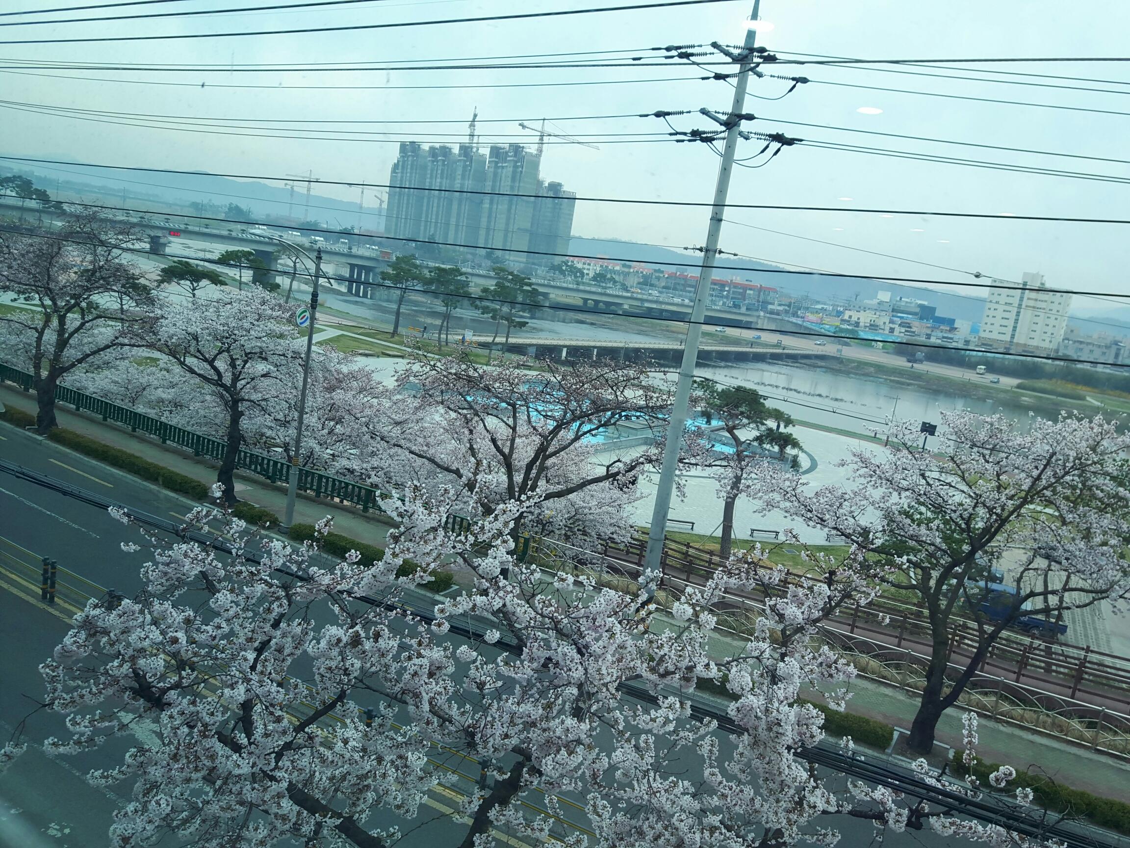 영천석미노인요양원 이미지 3