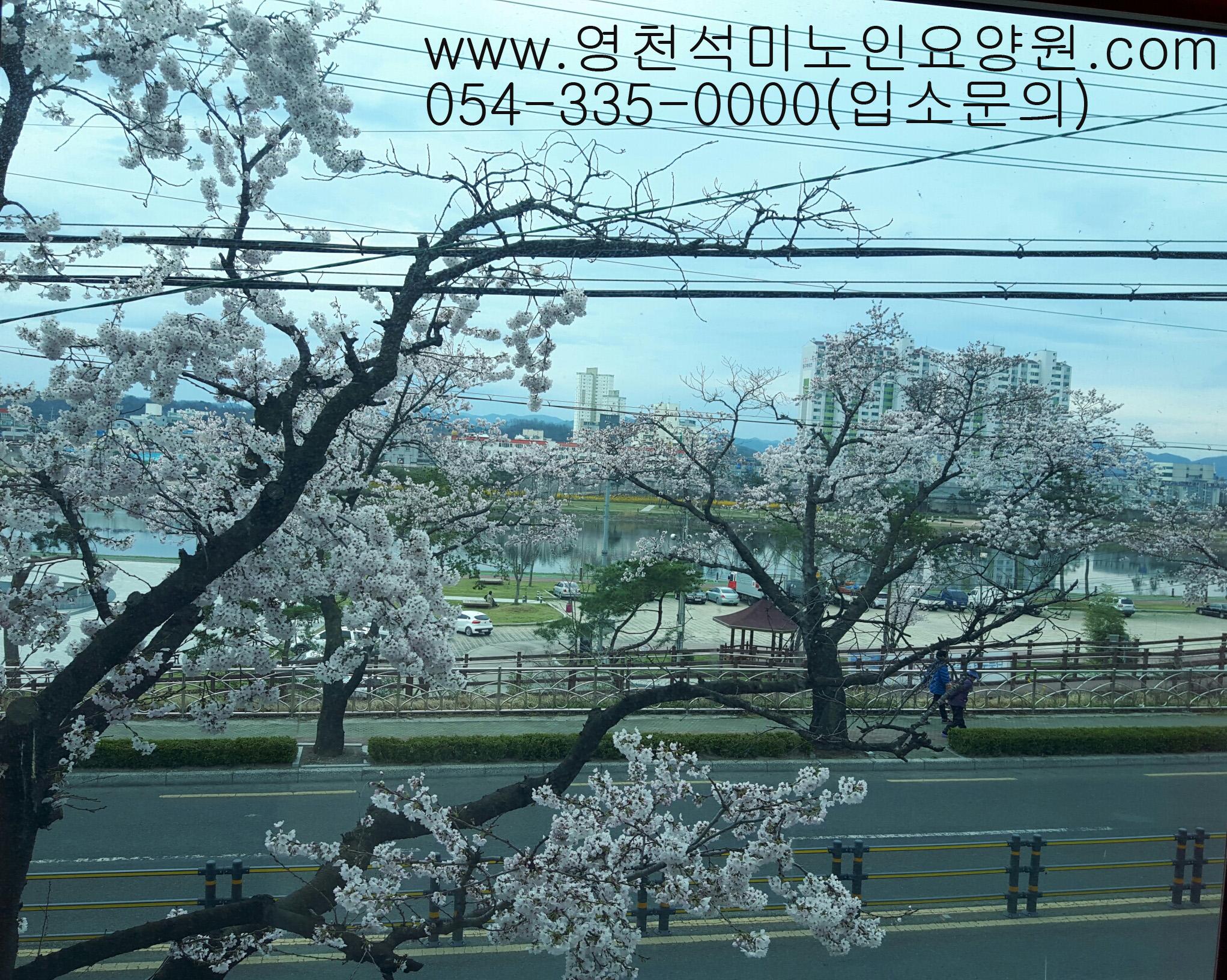 영천석미노인요양원 이미지 2