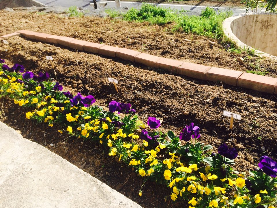 상암요양원 이미지 2