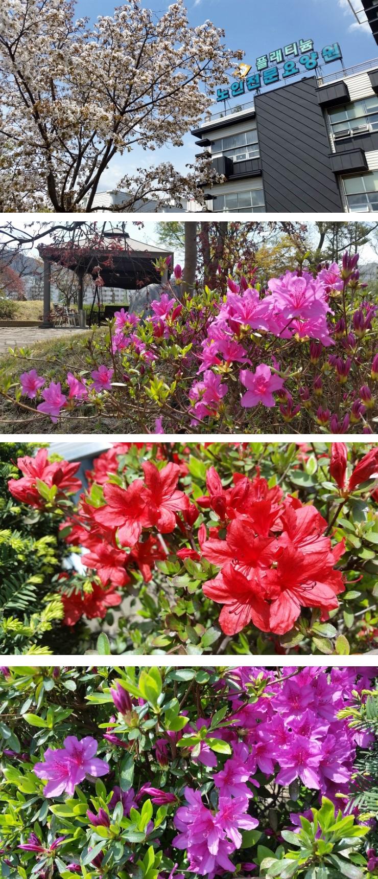 플래티늄 이미지 27