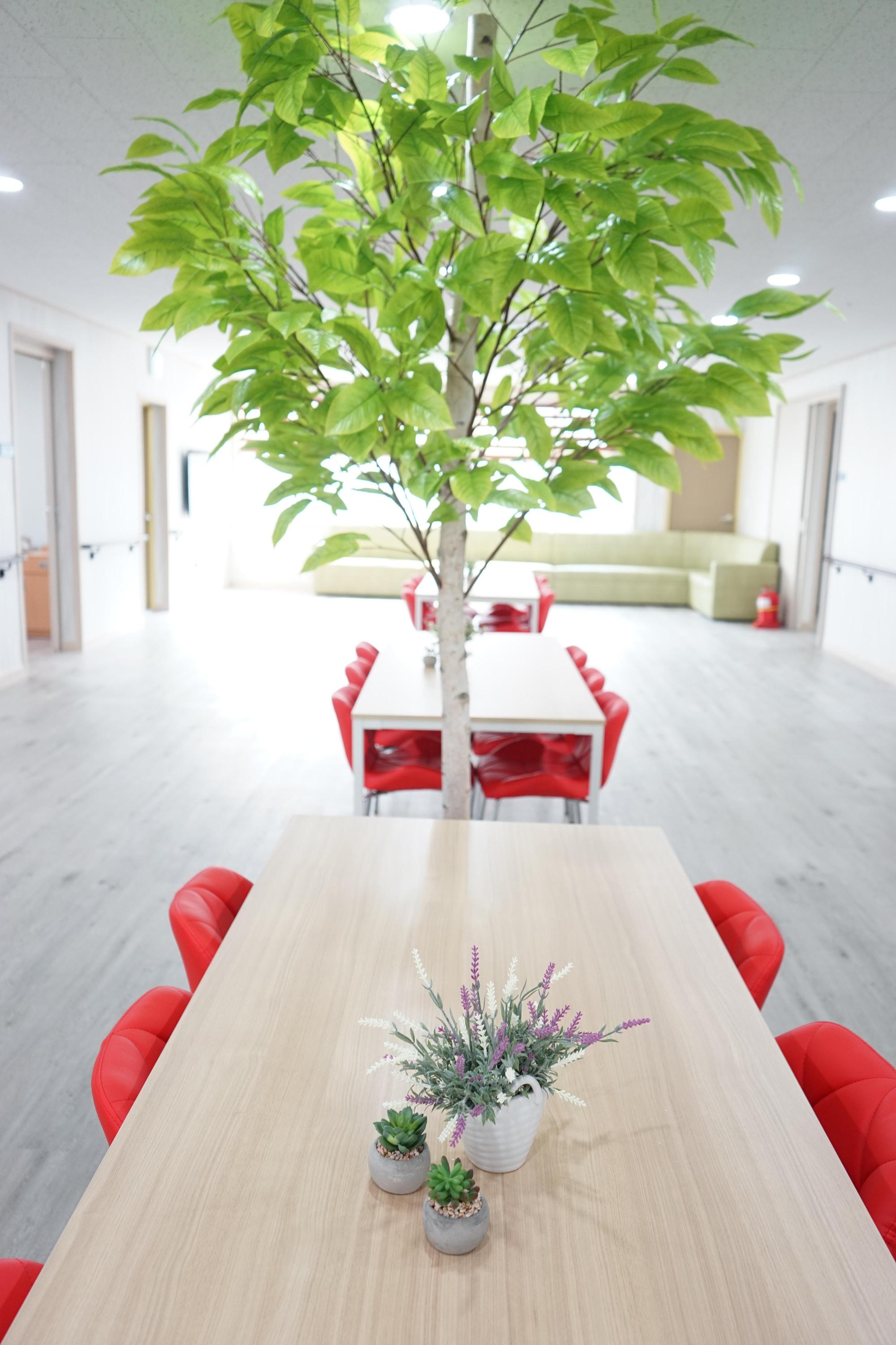 늘기쁨요양원 이미지 15