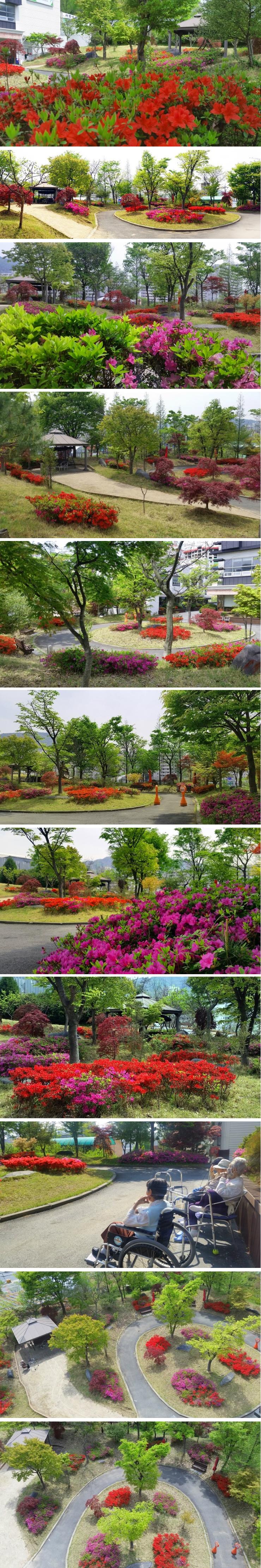 플래티늄 이미지 26