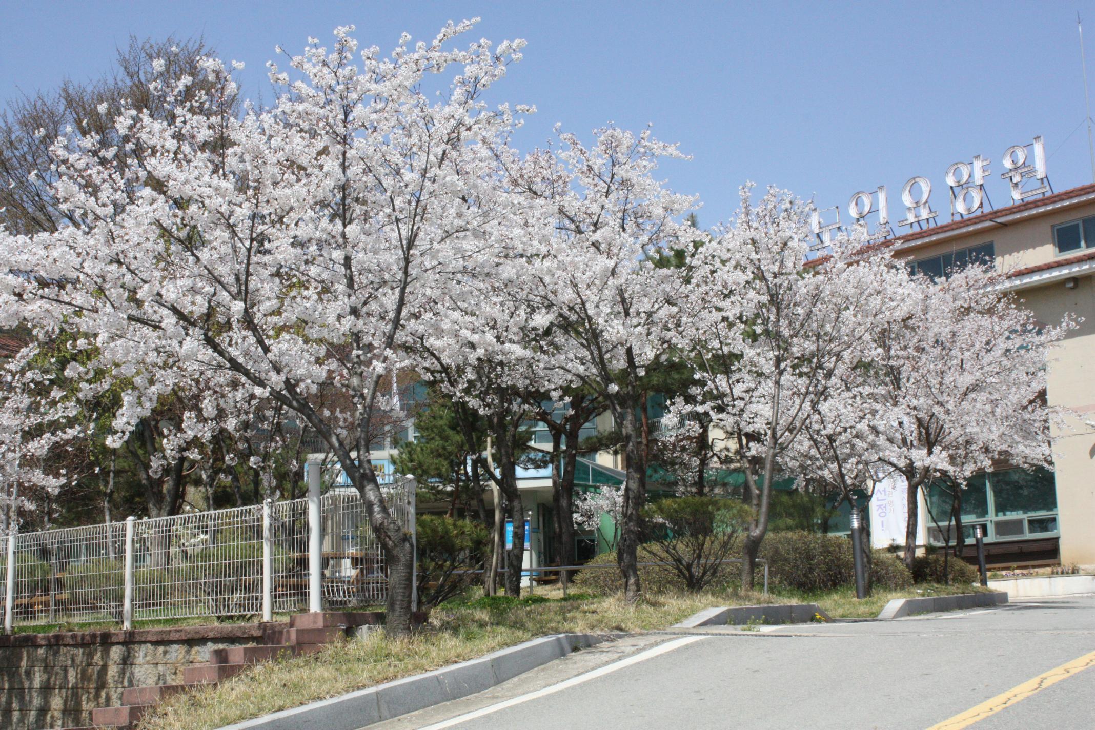 평택시노인전문요양원