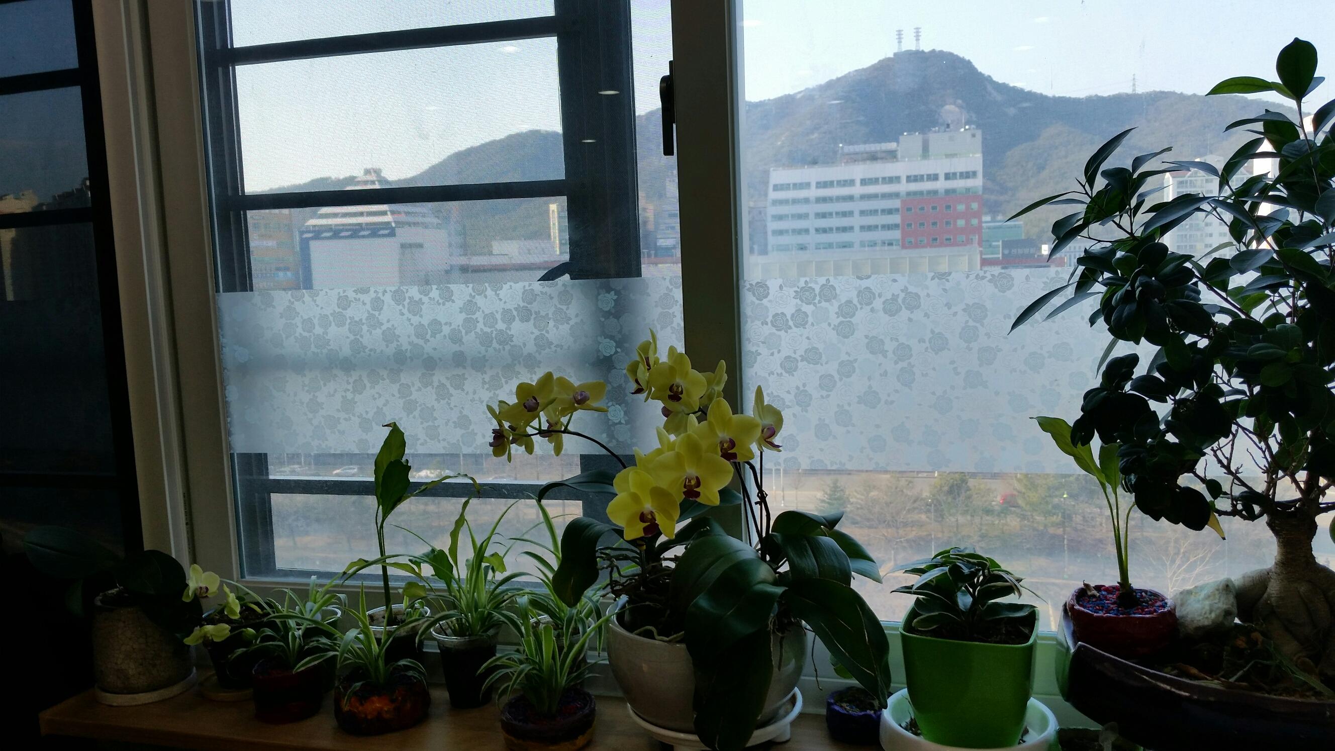 늘예랑요양원(3) 이미지 2