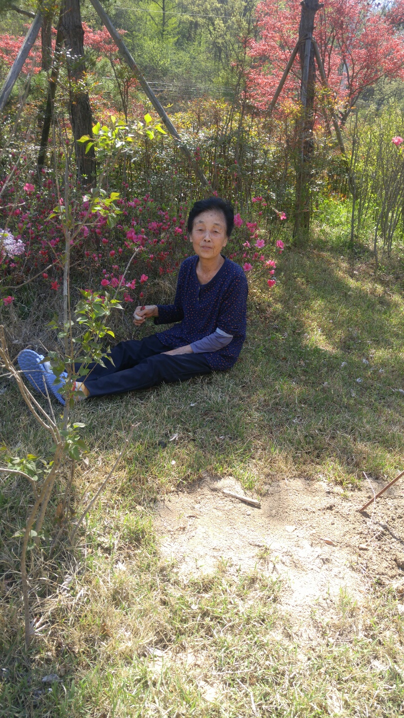 사랑마을아가페하우스 이미지 10