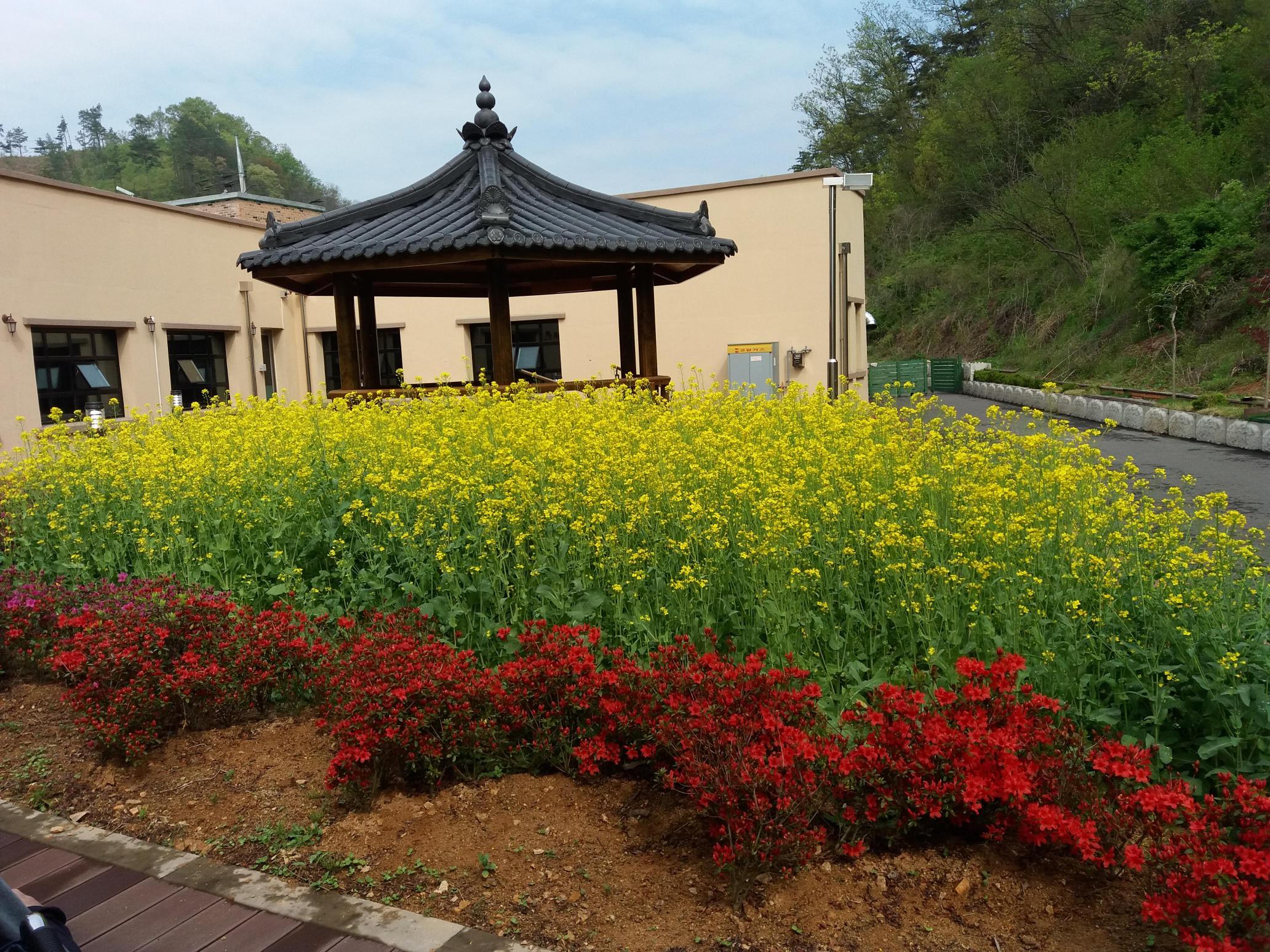 늘편한노인전문요양원