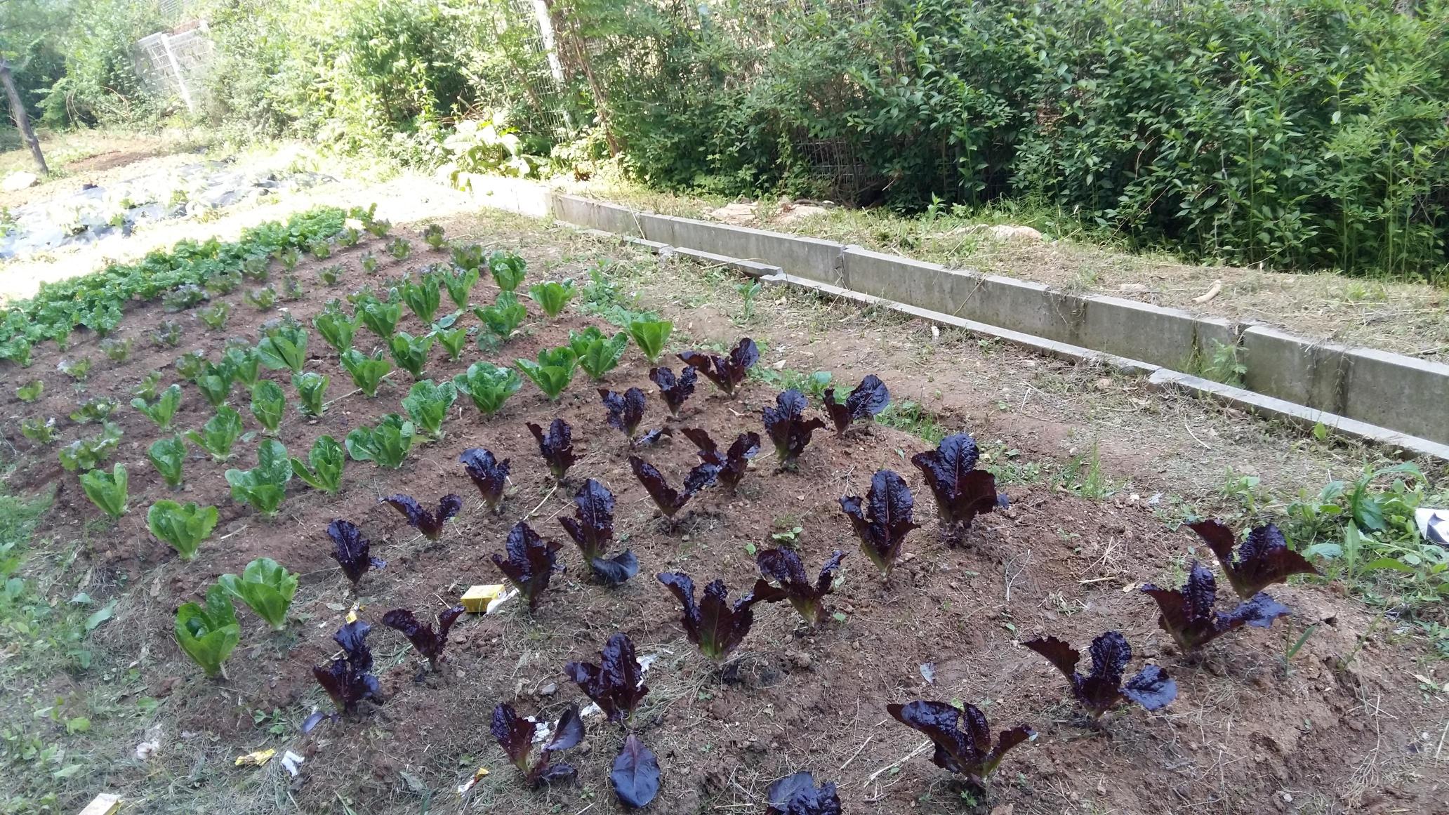 일산 수 요양원 이미지 6