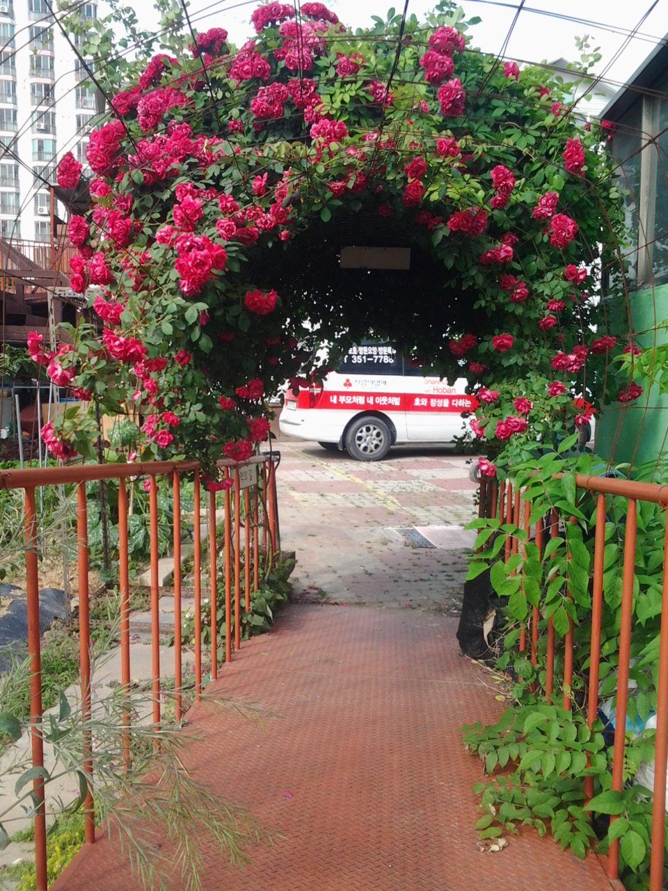 효드림실버홈 이미지 9