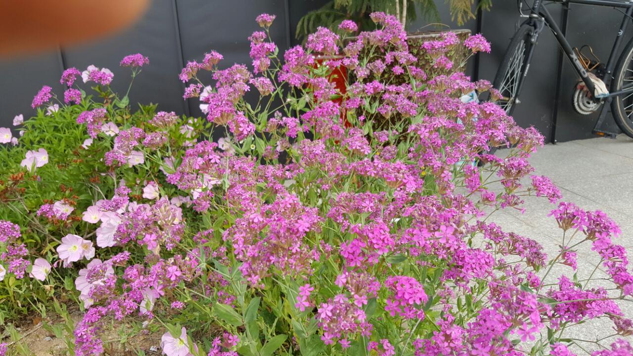 아낌없이 주는 나무 요양원 이미지 4