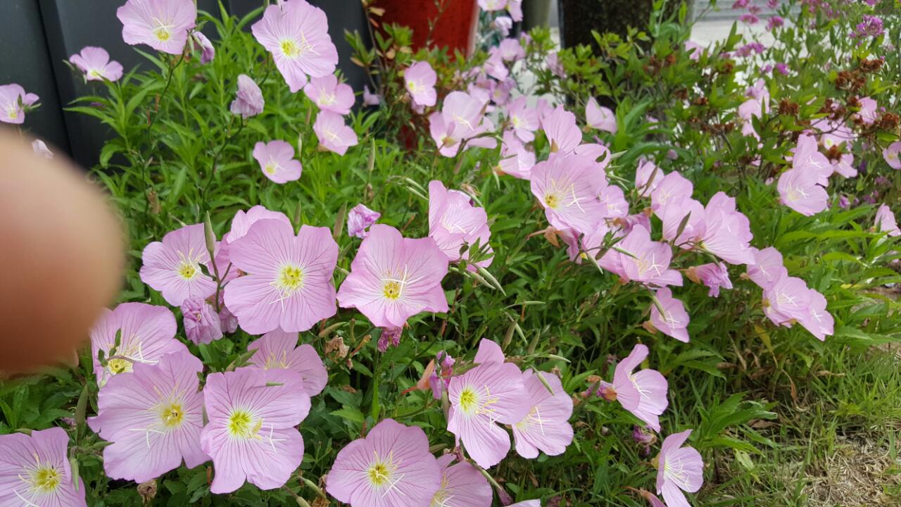 아낌없이 주는 나무 요양원 이미지 3