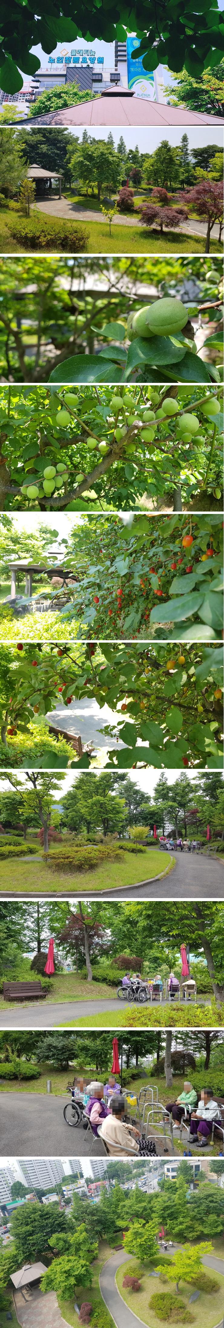 플래티늄 이미지 25